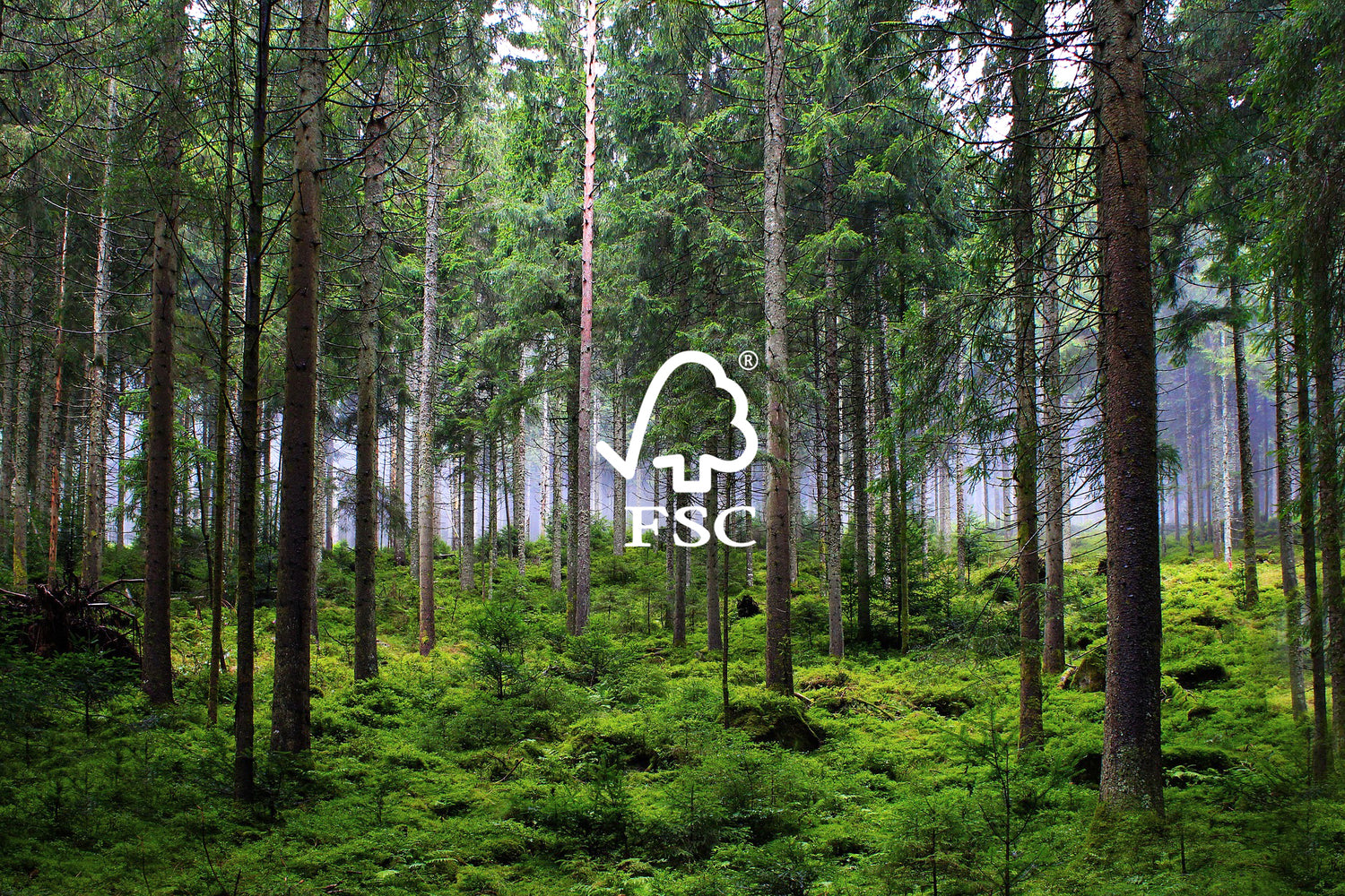 FSC-zertifiziert nachhaltig