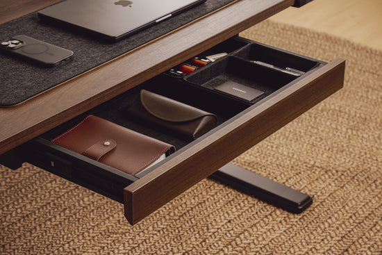 Walnussbaum Vernal Schublade-2